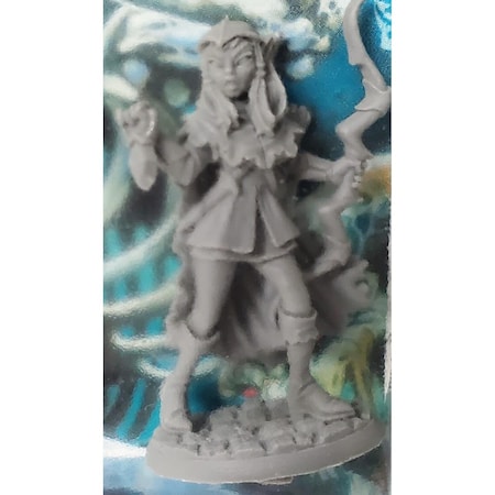 Thinkandplay Dungeon Dwellers Elven Scout Liara Miniatures TH2737188